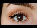 How To Apply Eyeliner Like a PRO! Simple and Quick Makeup Tutorial!