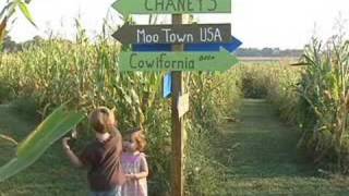 Chaney's Corn Maze 2008