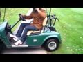 Two crazy guys on a golf cart