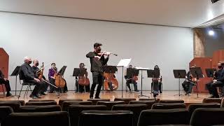 G. Enescu - The Fiddler (pandemic encore)