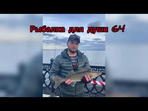 Видео: В Саратов беше уловена необичайна риба - Алтернативен изглед