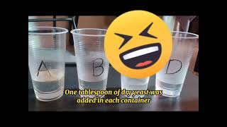 Experiment 10 Cellular Respiration Nurliana Asmak2T5