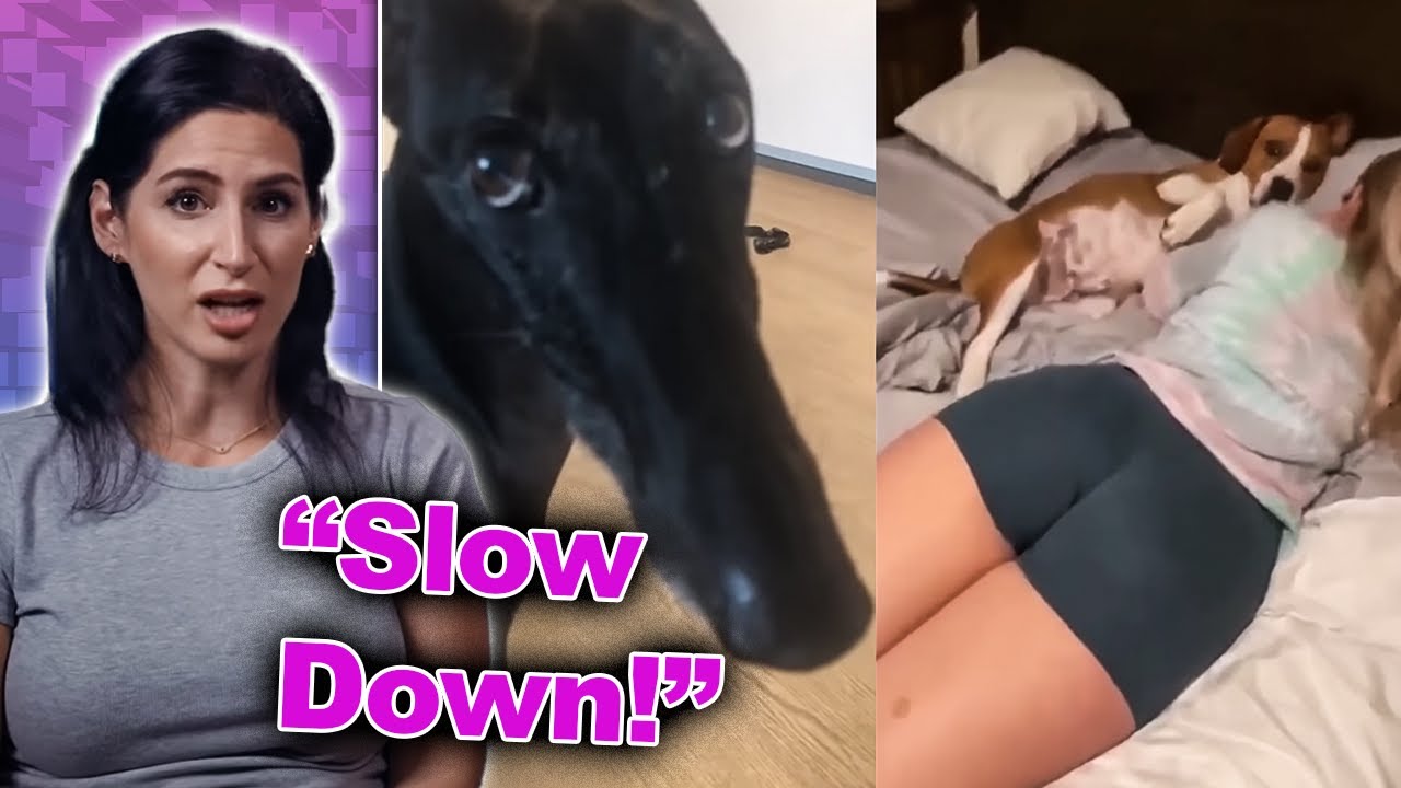 Мем-спида: Если моргнёшь, будет диарея