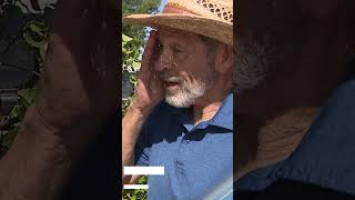 'It's gone,' business owner heartbroken after storm destroys building, damages Abilene REEL