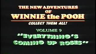 Winnie The Pooh All Openings Intervals And Closings Vhs Capture