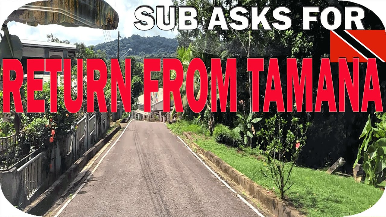 Tamana Cocoa & Coffee Estates Drive through.