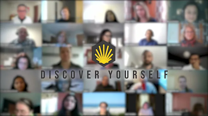 Insights Discovery Virtual Programs Are Amazing