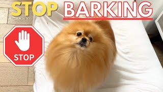 How To Stop Attention Barking