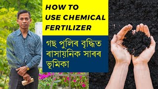 How To Use Fertilizer | PARIJAT NURSERY JORHAT | Have Proper Plant Growth How To Use Fertilizer | PARIJAT NURSERY JORHAT | Have Proper Plant Growth