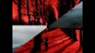 Mas & Miss Merozoth - MP3