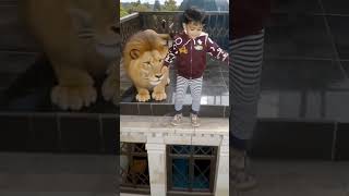 Lion Aarham Jumped In To The Water