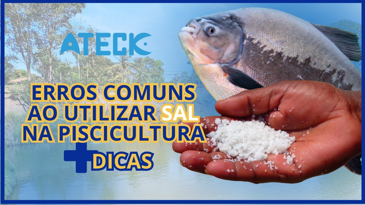 Erros comuns do uso do sal na piscicultura | Economize no uso do sal sem perder eficiência