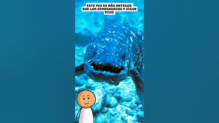 Este pez es más antiguo que los dinosaurios y sigue vivo🤯#curiosidades #animals#shorts#curiosidades