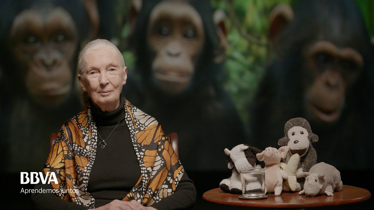 ⁣V.O. Complete. Life lessons of an indomitable spirit. Jane Goodall, primatologist