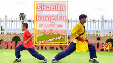 ► Shaolin Kung Fu Training for beginners, Horse stance (馬步) Bow step (弓步) Crouch stance (仆步) 少林基本功