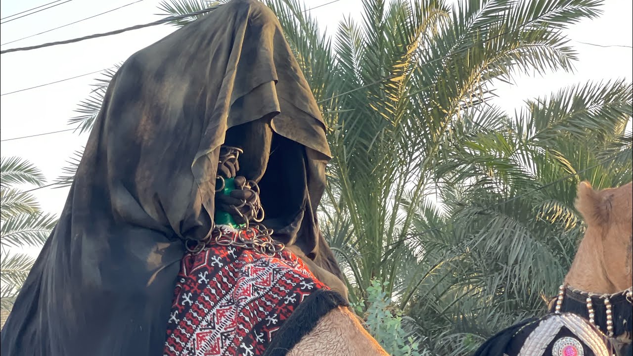 موكب ظعن زينب المفجوعة/شاهد ماذا جرى عندة وصول السيده زينب الى الكوفة