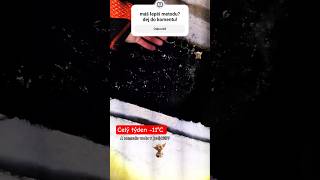 #lifehacks #elfstudio#aby jezirko nezamrzlo#led#mraz#koifish#fishing #fishtank #carpfishing#hack