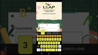leap app problem