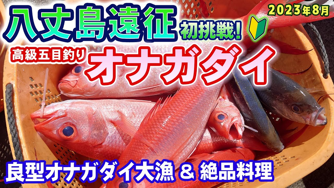 【八丈島遠征・初挑戦・オナガダイ】高級五目釣り・良型オナガダイ大漁!!◆絶品オナガ料理◆八丈島遠征初挑戦(1日目)(2023.8.26)