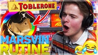 Jaxstyle Tjekker Marsvin Chokolade Navne