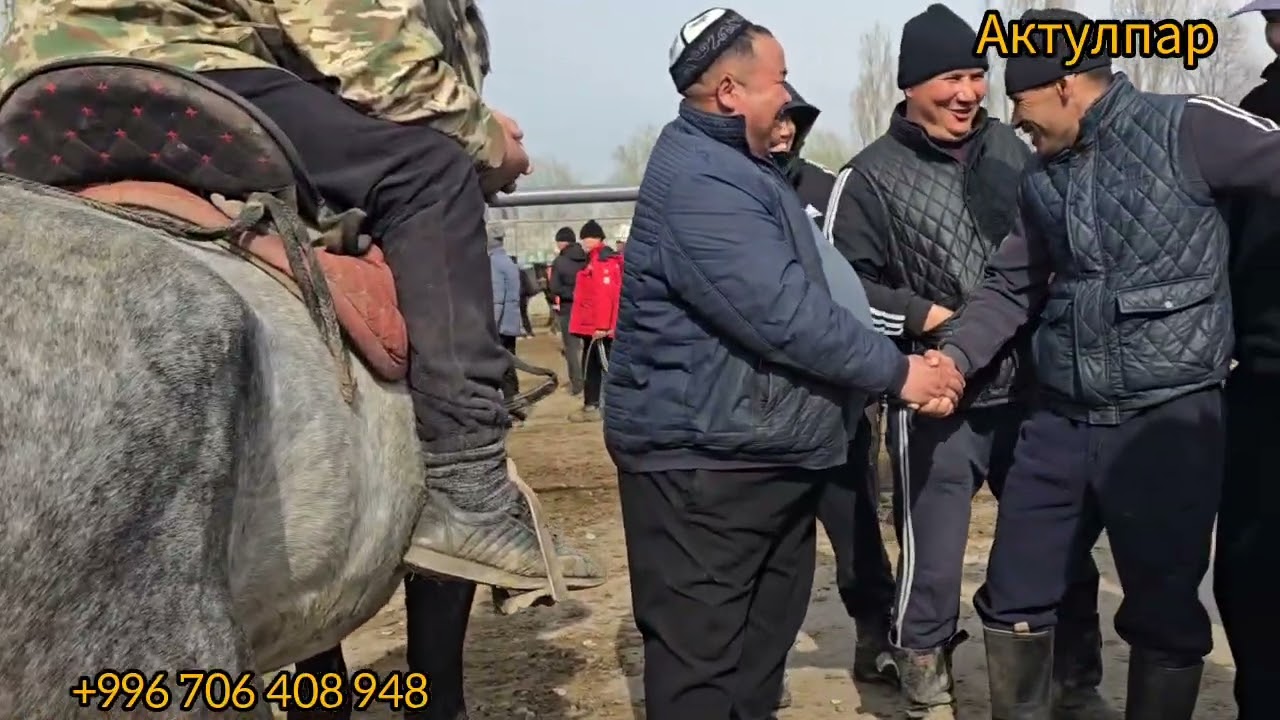 Бүгүн 8 март 2026 Базар-коргон жылкы базар #атбазар #актулпар #аламанулак #продажалошадей 