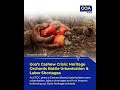 Goa’s Cashew Crisis: Heritage Orchards Battle Urbanisation & Labor Shortages #news #goa | GP