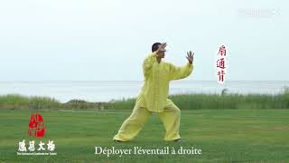 传统杨氏太极拳85式(杨大卫演练) Traditional Yang Taijiquan 85 forms by Yang Dawei