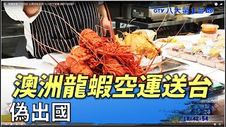 澳洲龍蝦空運直送 台灣也能吃到 ｜八大民生新聞 2021122207