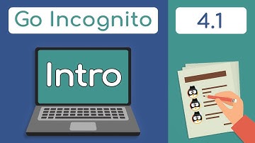 Section 4 Introduction | Go Incognito 4.1