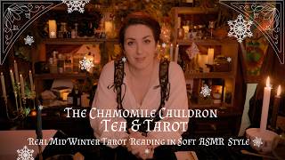 Mid-Winter Tarot Reading (Real Tarot Reading done in Soft ASMR style) screenshot 5