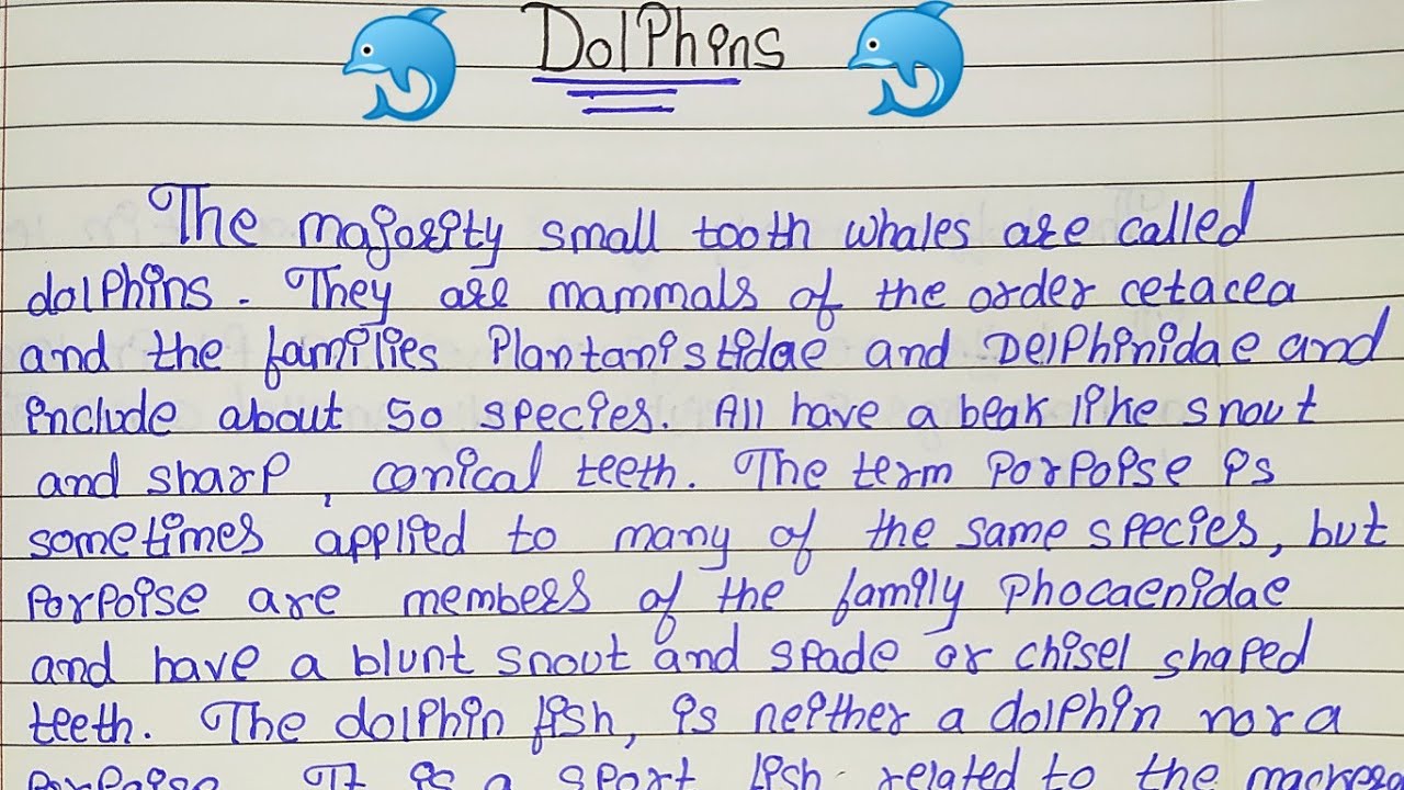 essay about dolphin