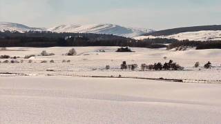 Blackford in the snow