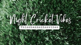 Nature's Vibe: Nighttime Cricket Serenade for Peaceful Sleep