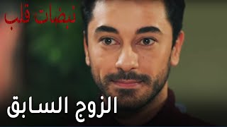 مسلسل نبضات قلب الحلقة 19 - الزوج السابق