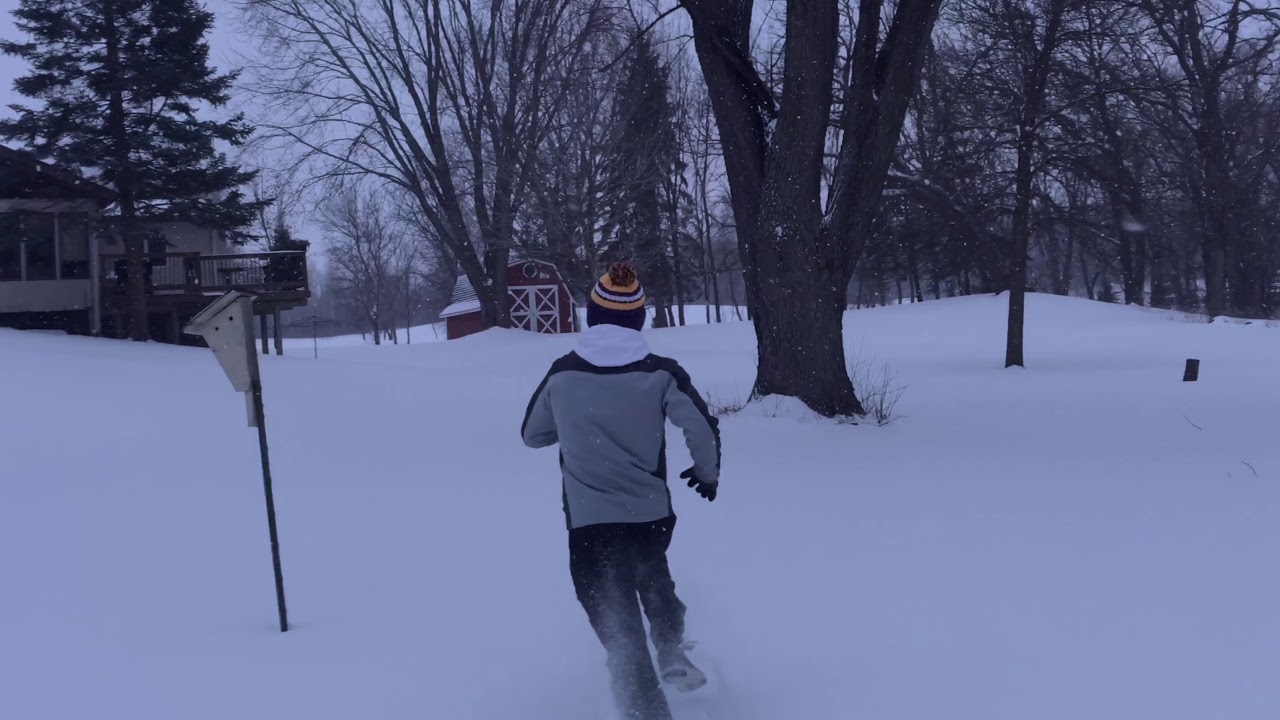 “The Timberland” TRAILER by Chadwick Films for ZFest 9 YouTube