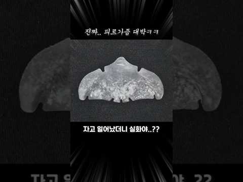 블랙헤드, <strong>코</strong> <strong>피지</strong> 이걸로 끝내보세요!! #shorts