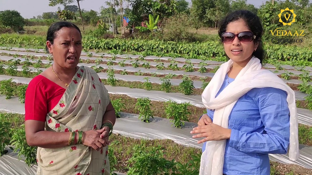 Fresh Organic Vegetable & Fruits at Vedaaz Organic Farm, Pune Shop