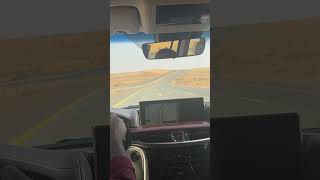 Al jouf Saudi Arabia shortvideo subscribe viral 1000subscriber shortsfeed car 500subs bike