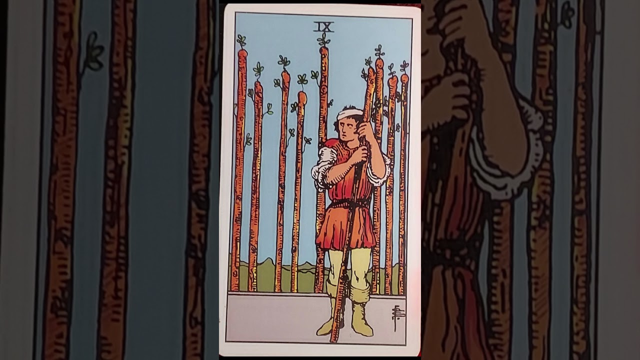 Dreamkatcher Daily Vision Card | Nine of Wands | Tarot Shorts