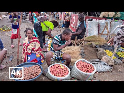 A WALK GETTING A LOT OF EXPERIENCE IN AFRICAN MARKETS TETE MOZAMBIQUE 4K 
