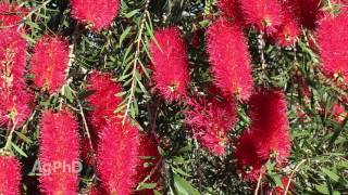 Farm Basics #934 - Pesticide Safety (Air Date 2/28/16)