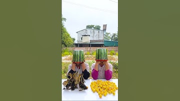 Hai chị em trêu chọc nhau siêu dễ thương 🍉🍉🦆🦆🦆🦆🦆🦆🦆🦆🦆🦆🍉🍉👴 #shorts #cute