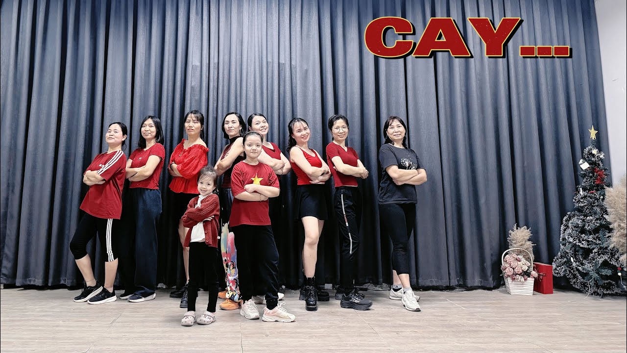 CAY REMIX | TRANG EX | LINHZINSU DANCEFITNESS COVER 