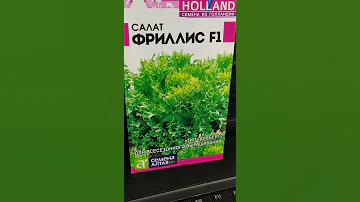 #Shorts-Салат Фриллис F1