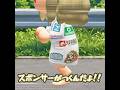 最悪すぎるマラソン#あつ森 #animalcrossing #あつまれどうぶつの森