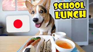 Corgi gets Japanese School Lunch || Life After College: Ep. 670