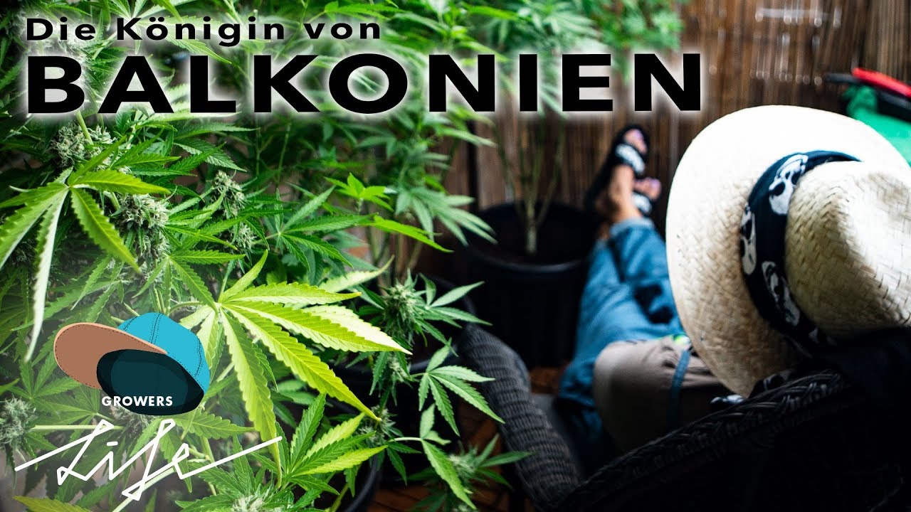 Lunas entspannter OUTDOORGROW