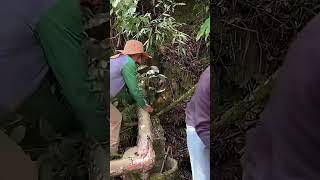 He Found a Hidden Symbol… What He Discovered Underground Will Shock You! (@USA_Find)