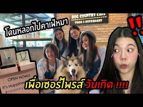 โดนหลอกไปคาเฟ่หมา เพื่อเซอร์ไพรส์วันเกิด
