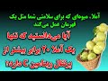 آملا بخورید و هر بیماری را دور کنید ۸ فایده ناشناخته آملا